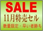 美容商材11月特売セルを行れています、数量限定、早い者勝ち♪