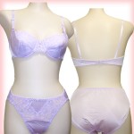 ????????????? ZBS-002 1/2??? ??